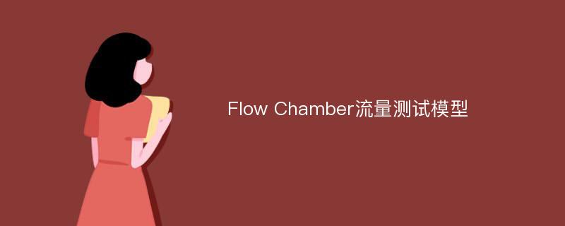 Flow Chamber流量测试模型