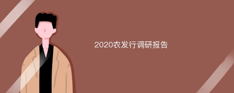 2020农发行调研报告